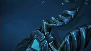 World of Warcraft Fury Warrior The Lich King Bane of the fallen lich king Heroic POV