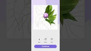 Flower Blooming