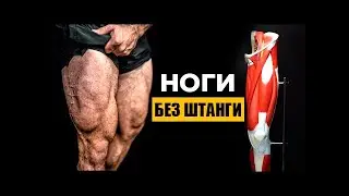5 Лучших Упражнений для Тренировки Ног Дома