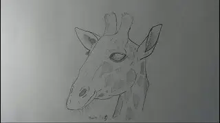 Как нарисовать ЖИРАФА