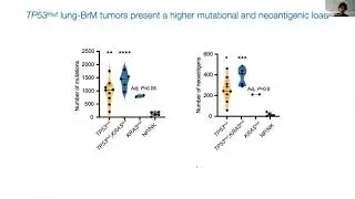 [Ángel Álvarez-Prado] Immunogenomic analysis of human brain metastases