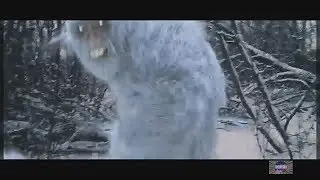 СНЕЖНЫЙ ЧЕЛОВЕК (2018) ФИЛЬМ