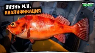 Норвежское море • Квалификация • Окунь М.Н. • Русская Рыбалка 4