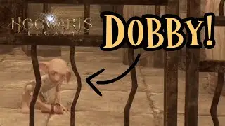 Hogwarts Legacy - Dobby appears in the Castle!
