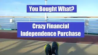 What Did I Really Buy When Becoming Financially Independent?