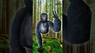 Realistic monke 