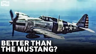 Why did US pilots love the Thunderbolt so much?