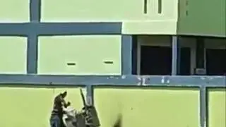 Viral ! Tukang Cilok Skill Dewa 😱😱😱