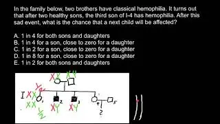 How to solve pedigree problems 7