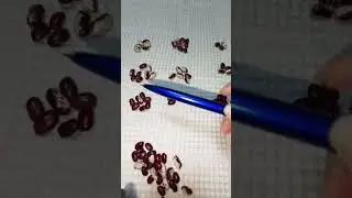 Козерог Октябрь 2024 год
