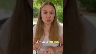 Негативные эмоции и чувства