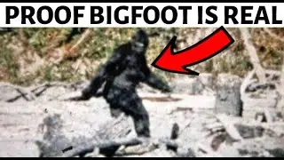Proof That the 1967 Patterson Gimlin Bigfoot Film Is Real?