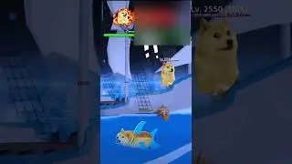 Terror Shark😱!!! | Doge Gaming 