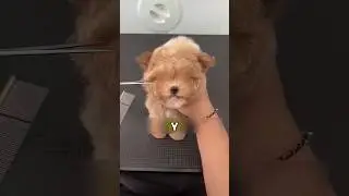 Когда наконец все увидели какой ты красавчик 