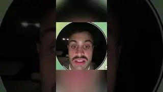 Джавид кот