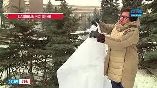 Наше УТРО на ОТВ – садовые истории