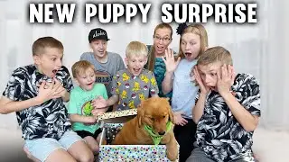 NEW PUPPY SURPRISE!!!!!! *emotional*