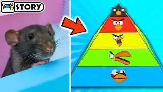 Rat in Angry Birds Pyramid Maze 🐦 Homura Ham Pets