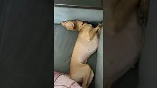 Что по гимнастике ?
