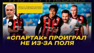 РАЗБОР ШАЛИМОВА/ФАКЕЛ - СПАРТАК /СОБОЛЕВУ НАДО СМОТРЕТЬ НА ХОЛЛАНДА/ АБАСКАЛЬ ПРОИГРАЛ НЕ ИЗ-ЗА ПОЛЯ