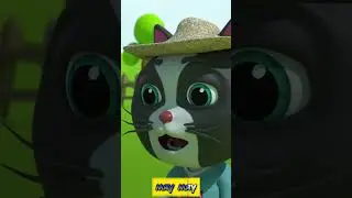 Кошка тут и кошка там! 😺😺😺 @broandsisrussia