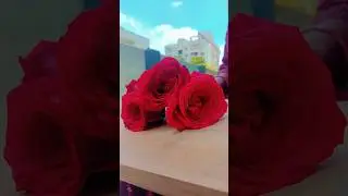 Natural Rose Milkshake 