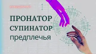 Пронатор и супинатор предплечья. Боли в руке. Туннельные синдромы.