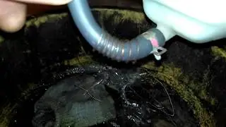 SYM JOYMAX300.  Потёк антифриз из горловины радиатора.