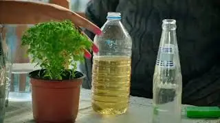 ДУХТАРИ ДЕХОТИ КИСМИ 20 БО ЗАБОНИ ТОЧИКИ