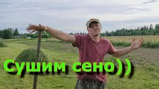 Не угадали с цветом))// Сушим сено для козы)