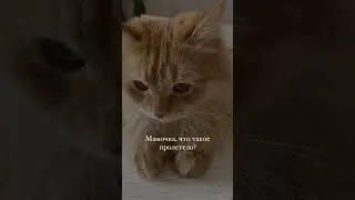 Как же быстро летит время🥺 #music #love #топ #cat