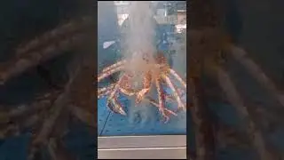 Такой аквариум домой !