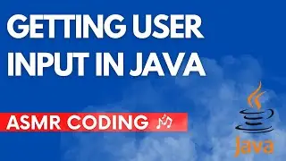 ASMR Programming | Taking Input From User | Complete Guide | No Noise