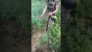 Легалайз Украина 🇺🇦🌴🌿