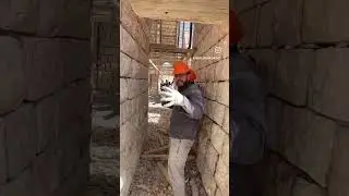 17 июня 2024 г.