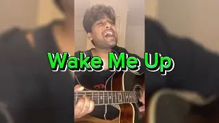 Wake Me Up - Avicii (Vertical Version) #acousticcover #avicii #wakemeup #music