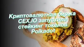 Криптовалютная биржа CEX.IO запустила стейкинг токенов Polkadot