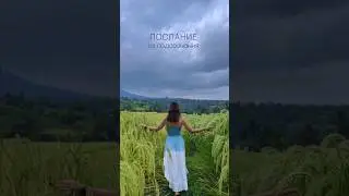 ПОСЛАНИЕ ИЗ ПОДСОЗНАНИЯ 