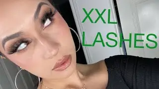 XXL Lashes Review