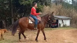 Village Girl Riding Horse