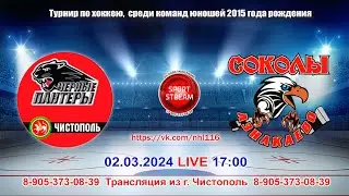 02.03.2024 ЧЕРНЫЕ ПАНТЕРЫ (Чистополь) - СОКОЛЫ (Азнакаево)   LIVE 