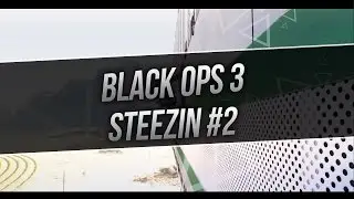 Steezin #2