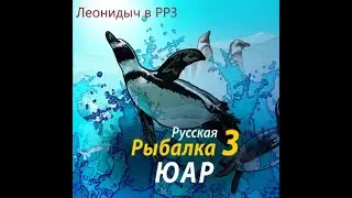 РР3 Поймали мумию что в ней. Финвал и звезды.