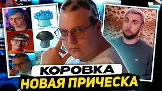 НОВАЯ ПРИЧЁСКА ПЯТЁРКИ | СМЕШНЫЕ МЕМЫ ИЗ ПРЕДОЛЖКИ