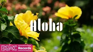 Hawaiian Music - Perfect Relaxation and Study BGM | BGMC Records