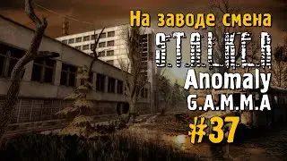 S.T.A.L.K.E.R ANOMALY G.A.M.M.A #37 Прохождение