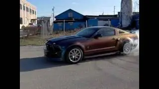 GT 1000 Mustang Burnout!
