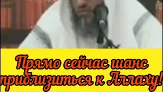 Какие деяния (поклонения) совершать в первые 10 дней месяца Зуль-Хиджа? Шейх Усман аль Хамис 