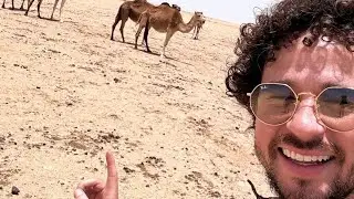LUISITO COMUNICA en el DESIERTO del SAHARA