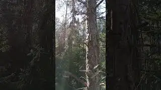 хорошо летом.